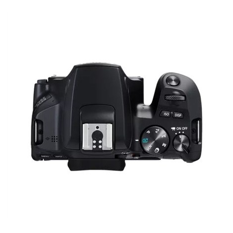 Canon EOS | 250D | Obiektyw EF-S 18-55mm IS STM | Brązowy | Srebrny - 3